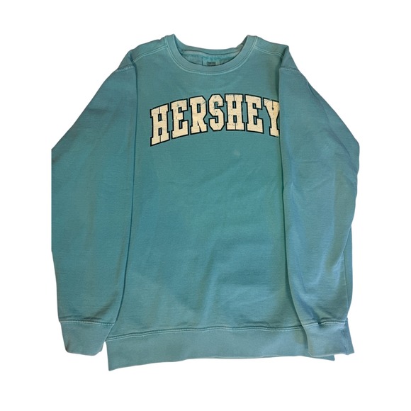 Vtg Comfort Colors Hershey Sweatshirt Small Green Garment Dye Crewneck Pullover - Picture 2 of 8